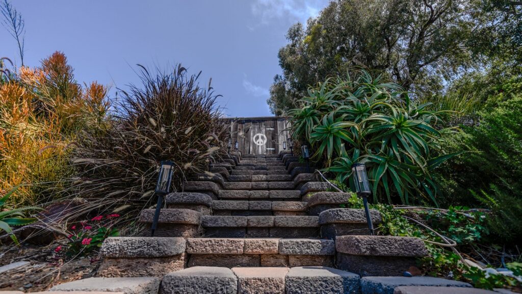 One Path Home 2